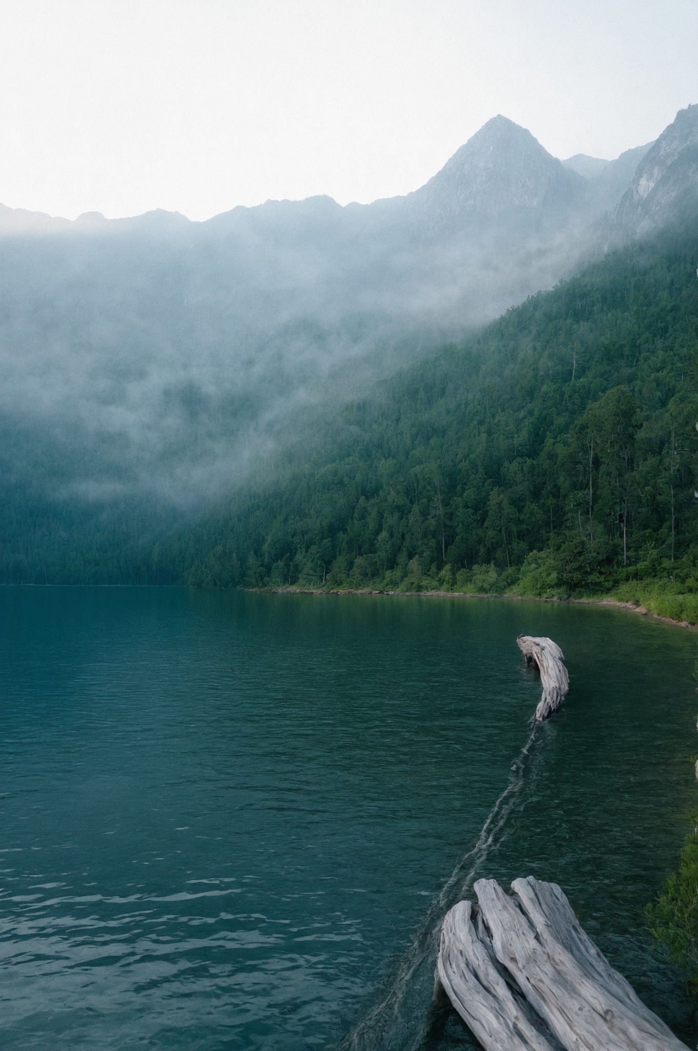 montana, nature photography, film photography, 35mm, filmisnotdead, mountains, lake, summer, naturecore, lensblr