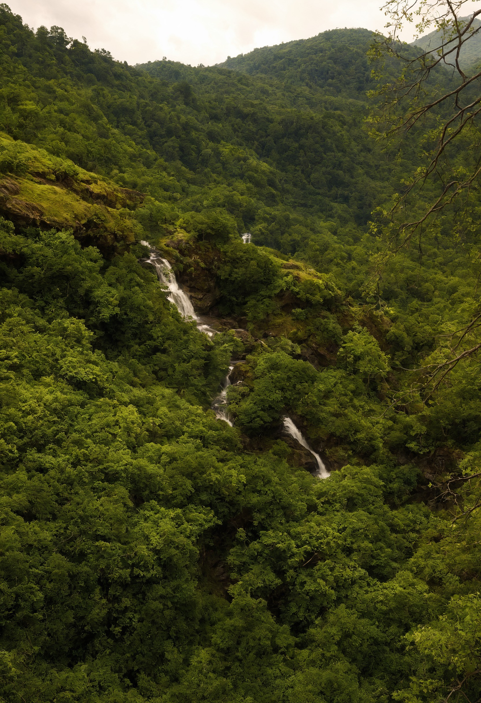 waterfall, forest, mountains, landscape, alps, waterfalls of the tmr, tmr, tour de monte rosa, long distance trail, wilderness, hiking, trekking, nature, photography, original photography, photographers on tumblr, tmr 2021