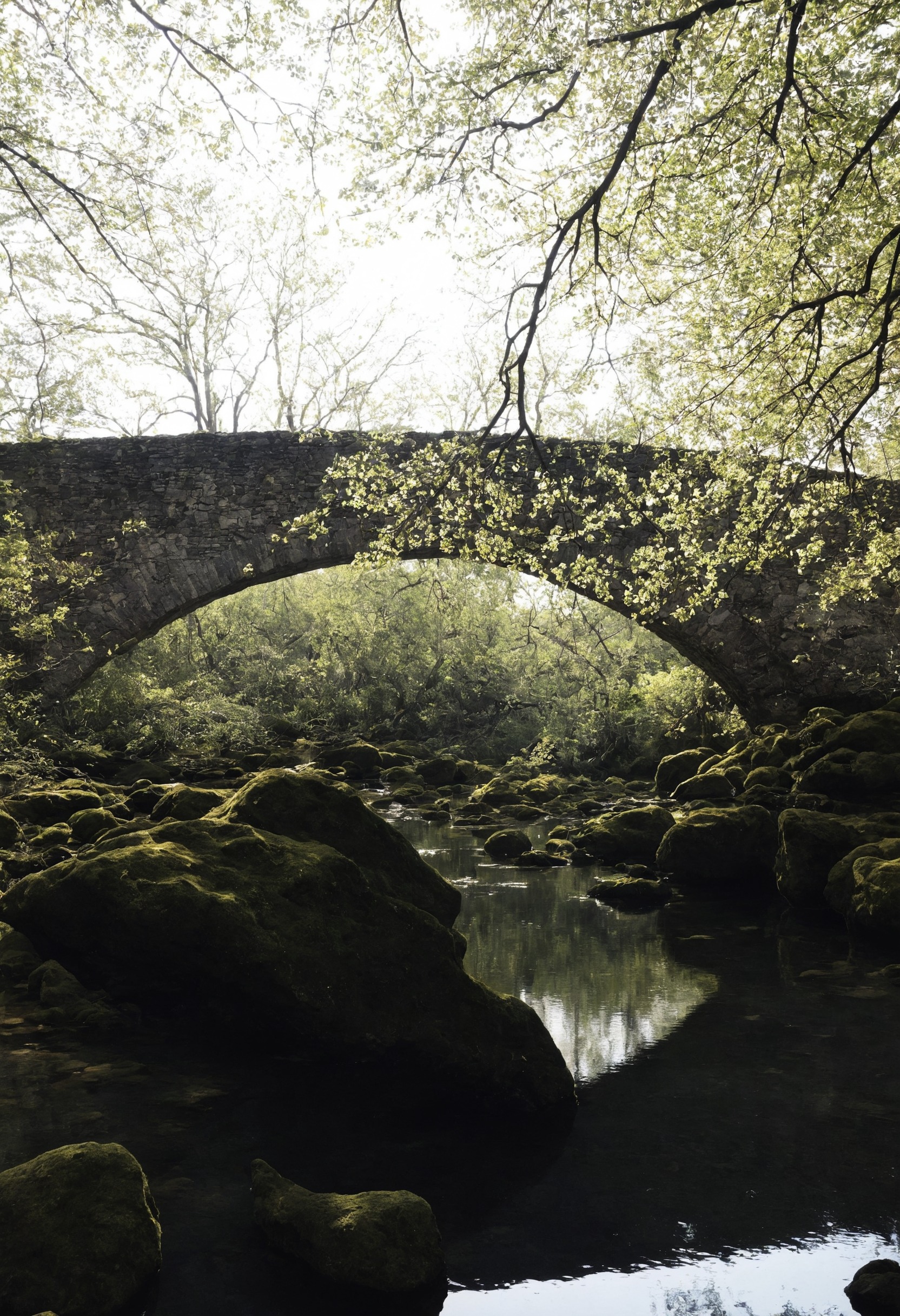 nature, landscape, lensblr, original photographers, photographers on tumblr, canon, scotland, photography, travel, vertical, wilderness