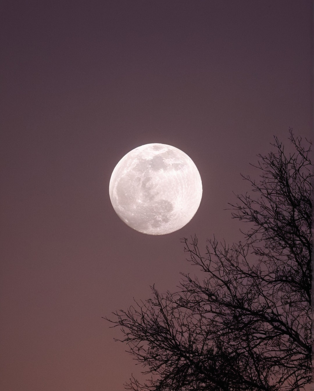 moonlight, full moon, landsccape, moon, sky, clouds, stars, nightsky, lake, sundown, sunrise, landscape, photography, adventure, explore, travel, travelling, nature, paradise, indie, hipster, vintage, retro, aesthetic, pale, sunset, artwork, beauty, dark acadamia aesthetic, fall aesthetic